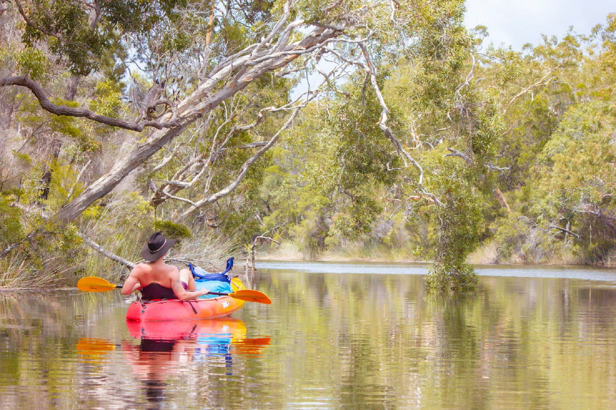 kayak noosa river