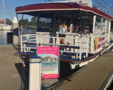 noosa river and canal cruises jetty